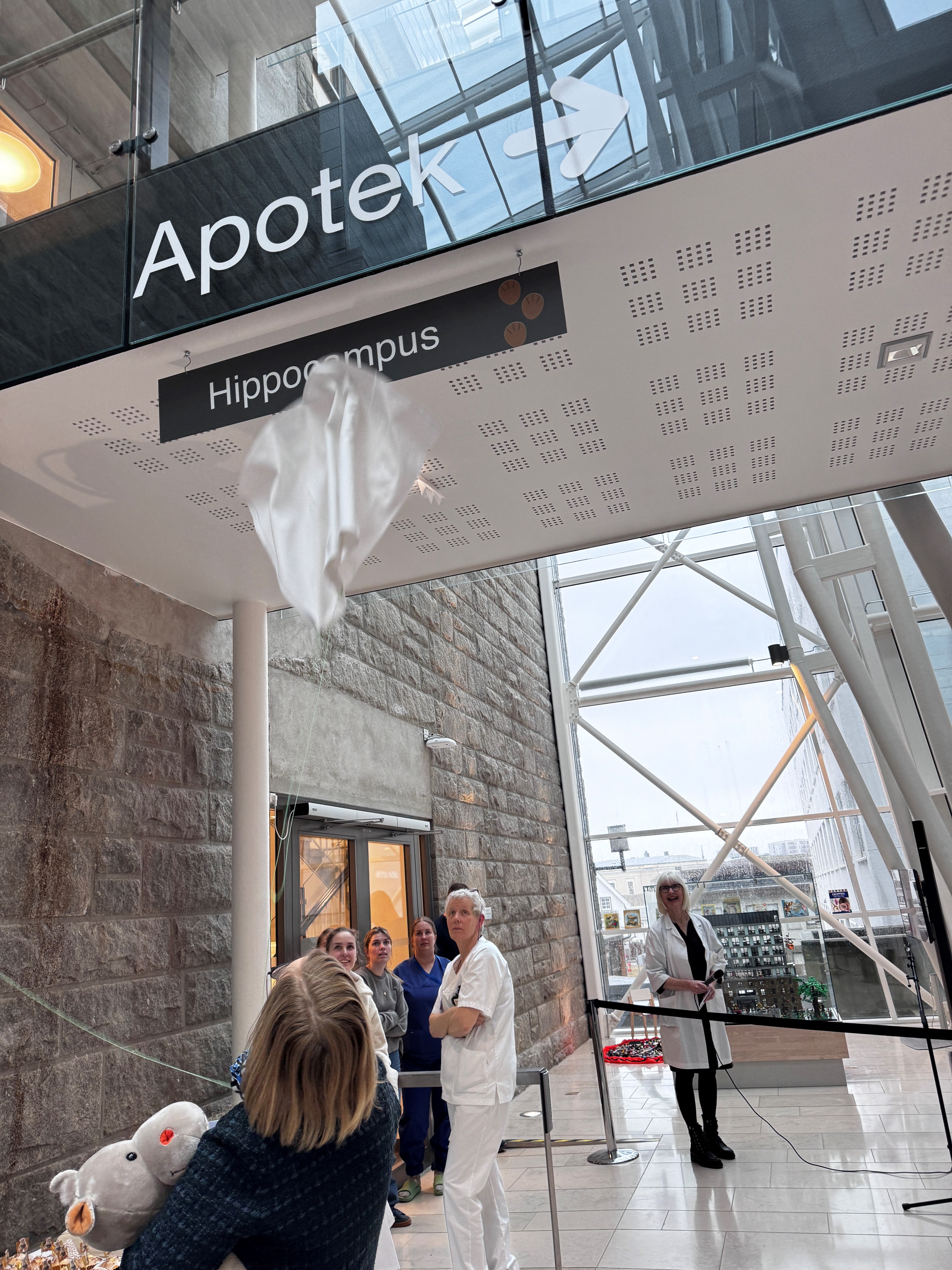 Avdukning av et skilt som står Hippocampus på