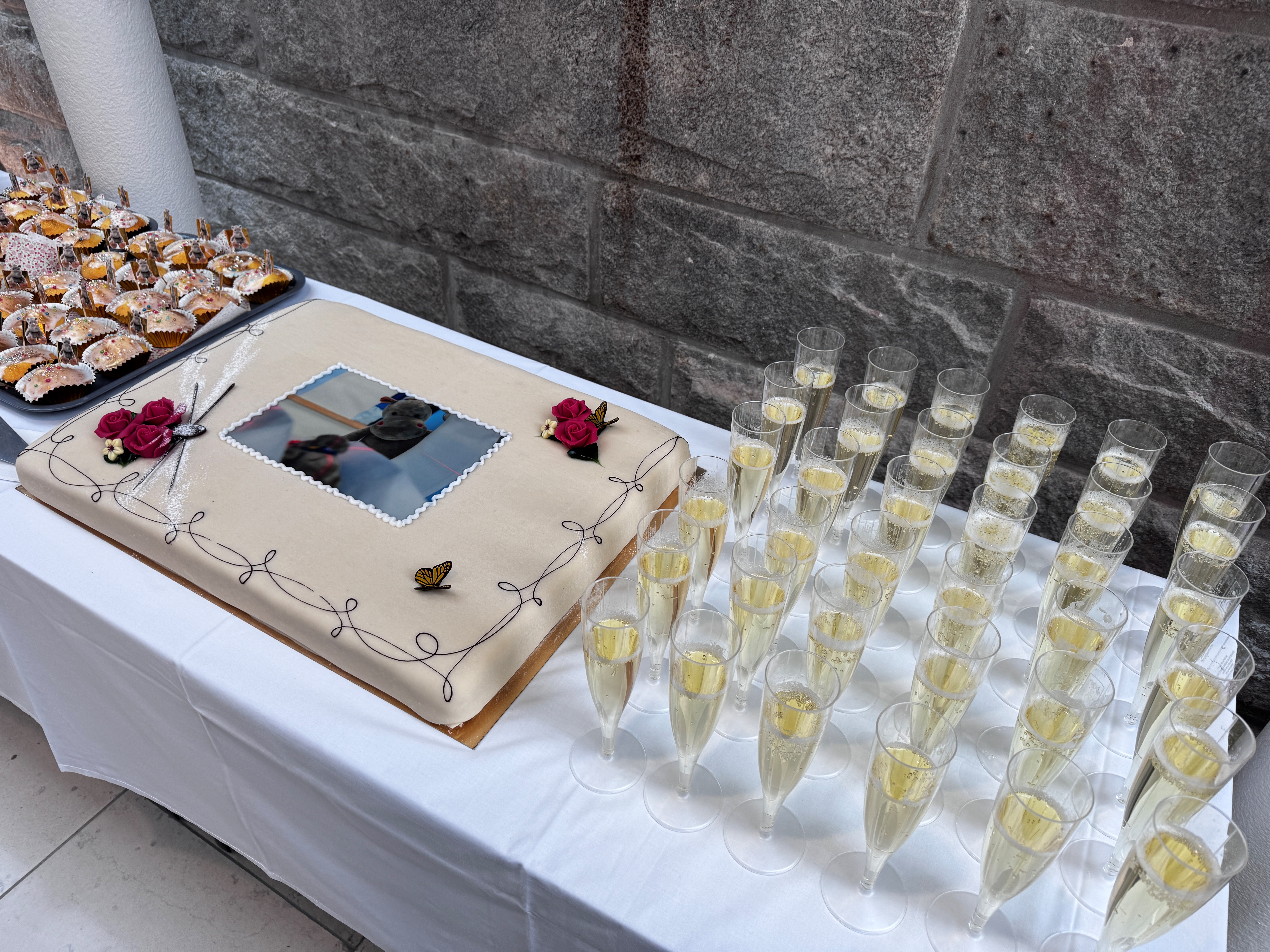 Marsipankake, muffins og champagneglass med Mozell