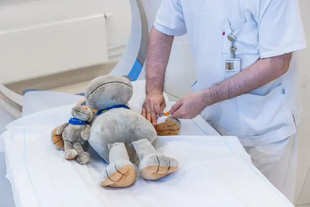 En bamse som ligger på ei seng og får hjelp av en sykepleier
