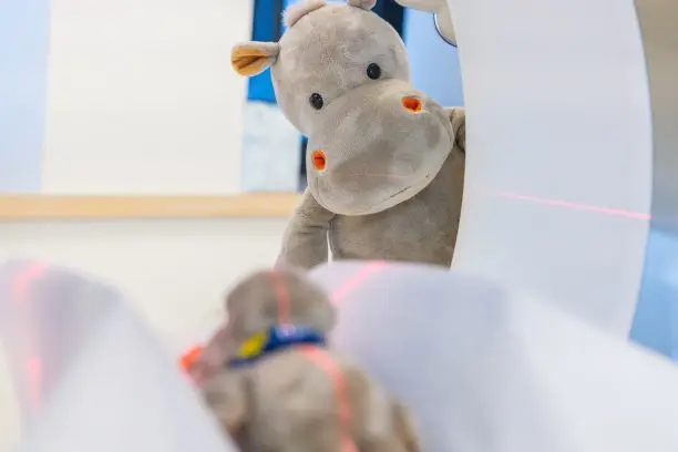 Et kosedyr som titter frem fra en røntgenmaskin og ser mot kamera