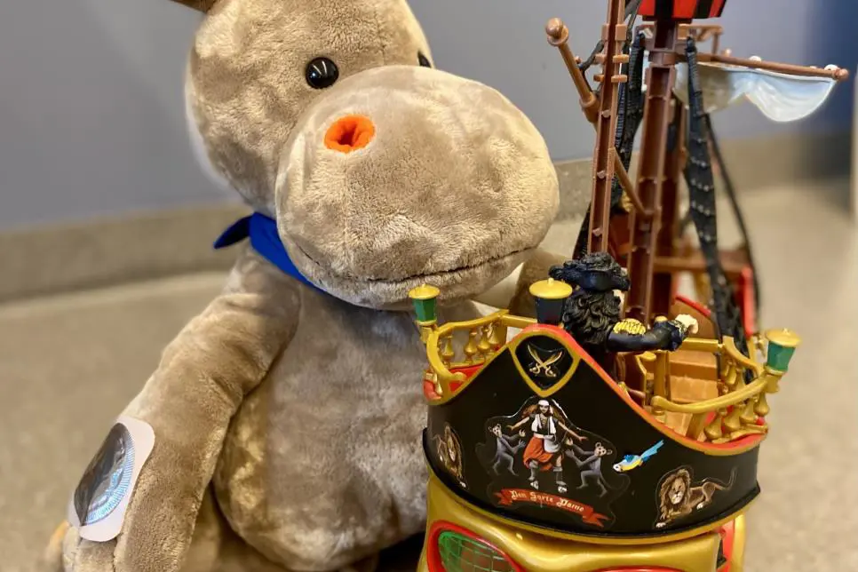 En teddybjørn ved siden av en hjelm