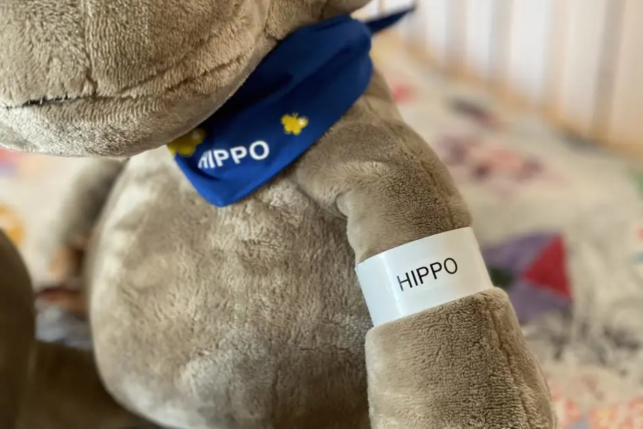 Et kosedyr på en seng