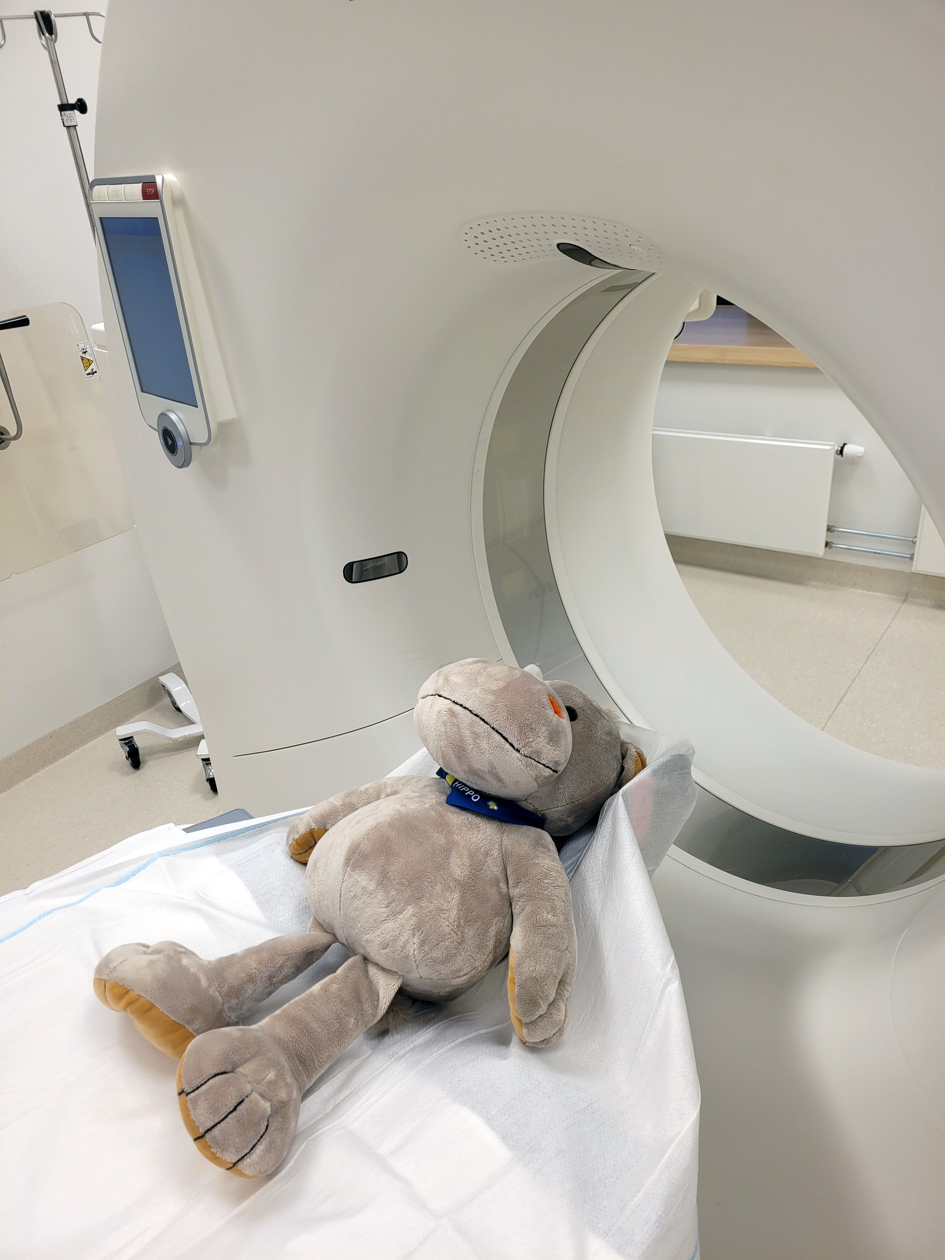 Bamse som skal ta røntgen