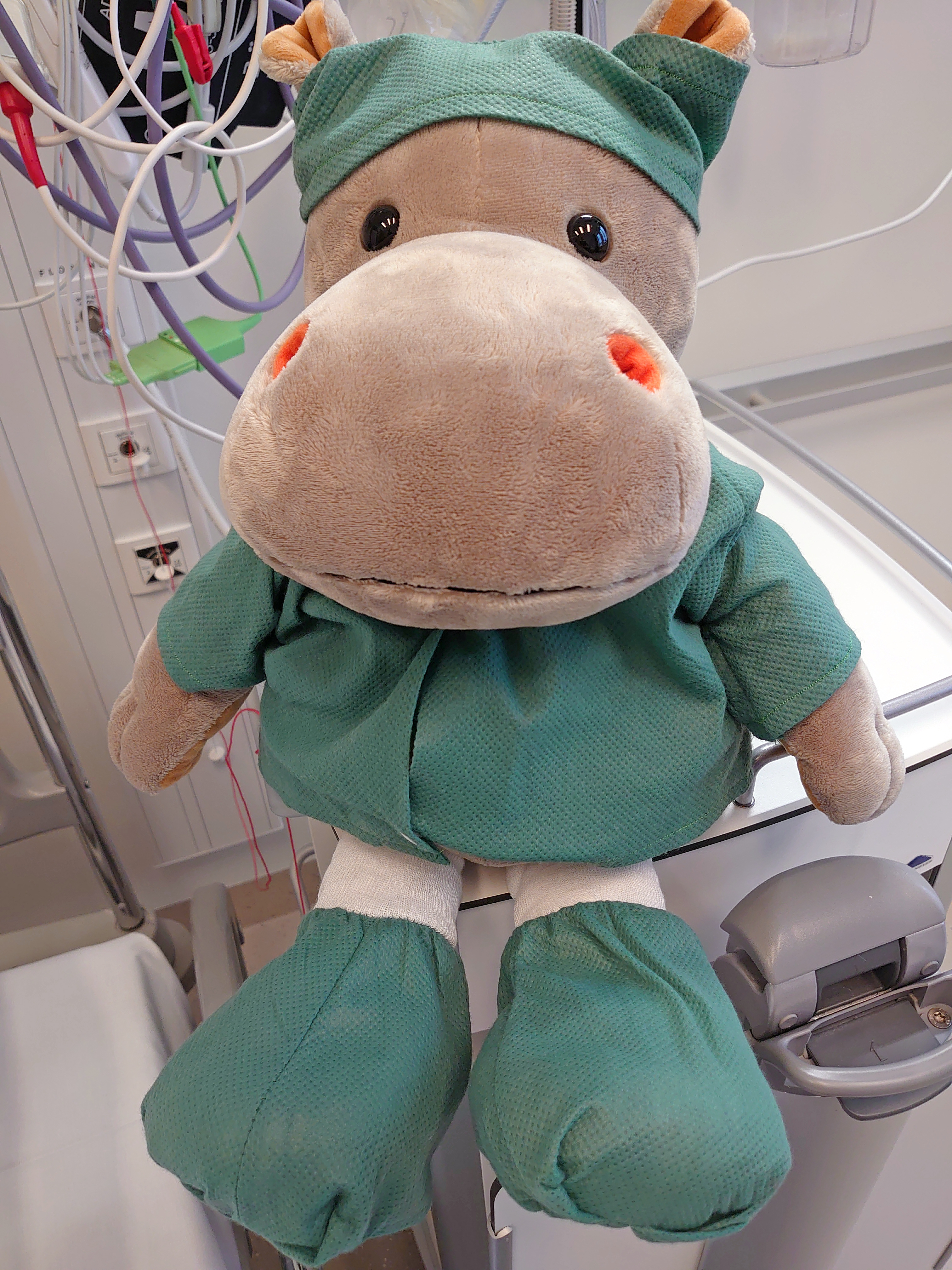 Bamse med grønne operasjonsklær