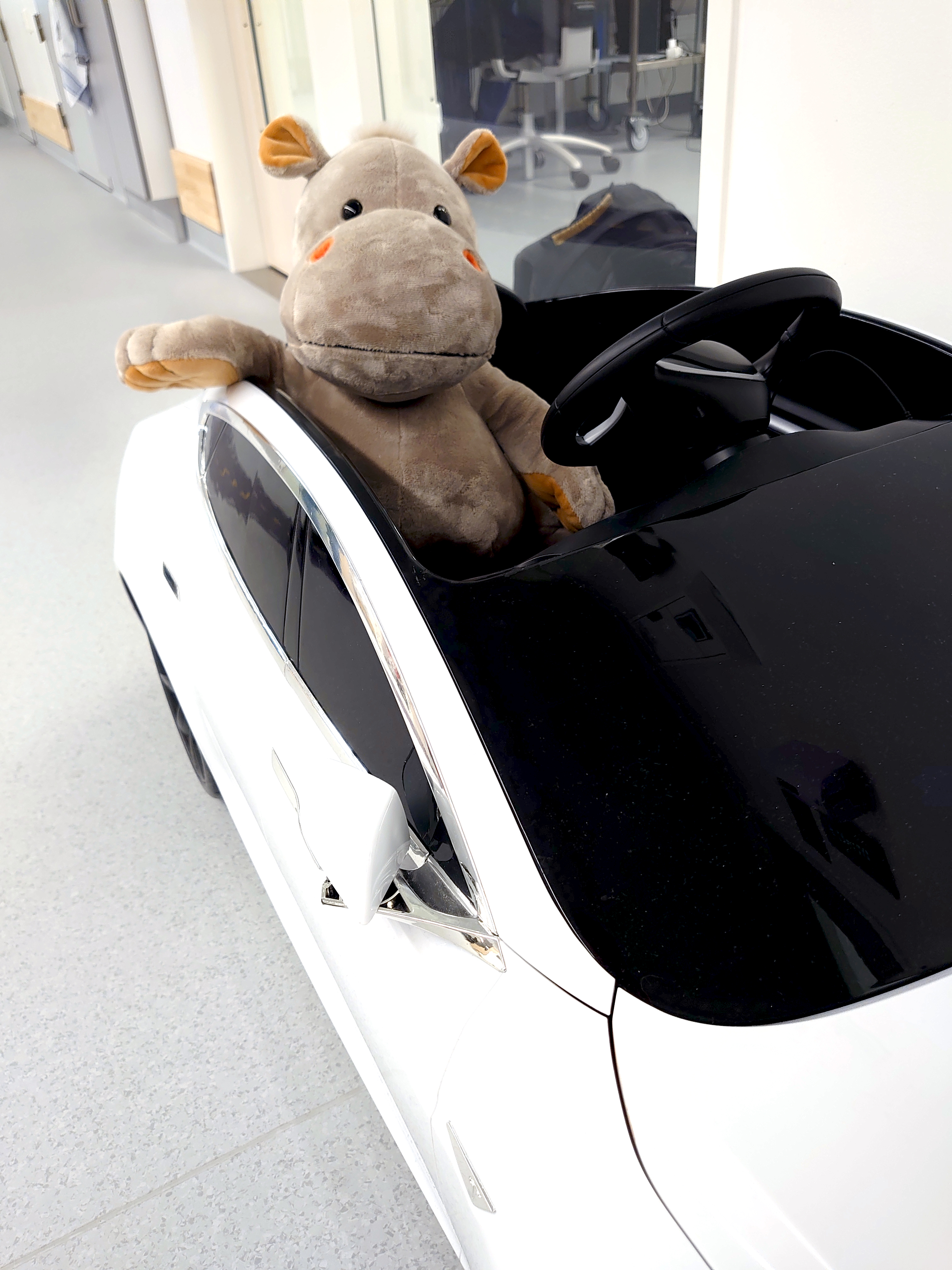 Bamse som sitter i lekebil