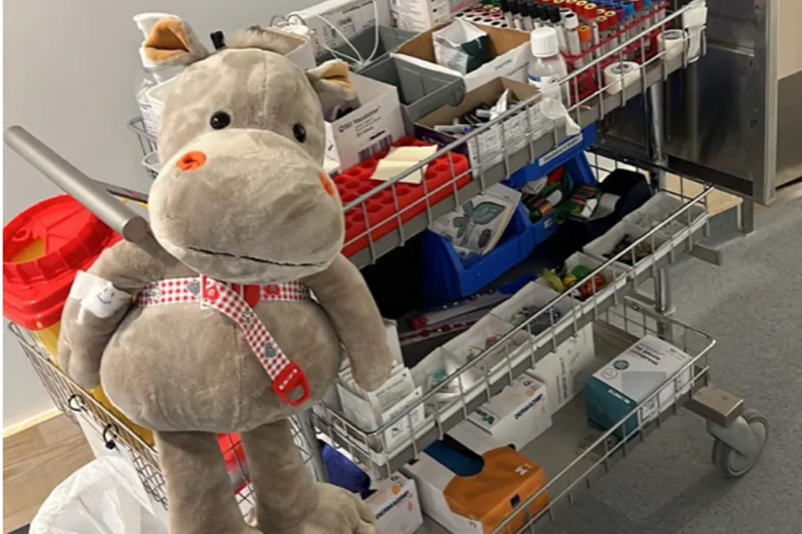 En bamse i en butikk