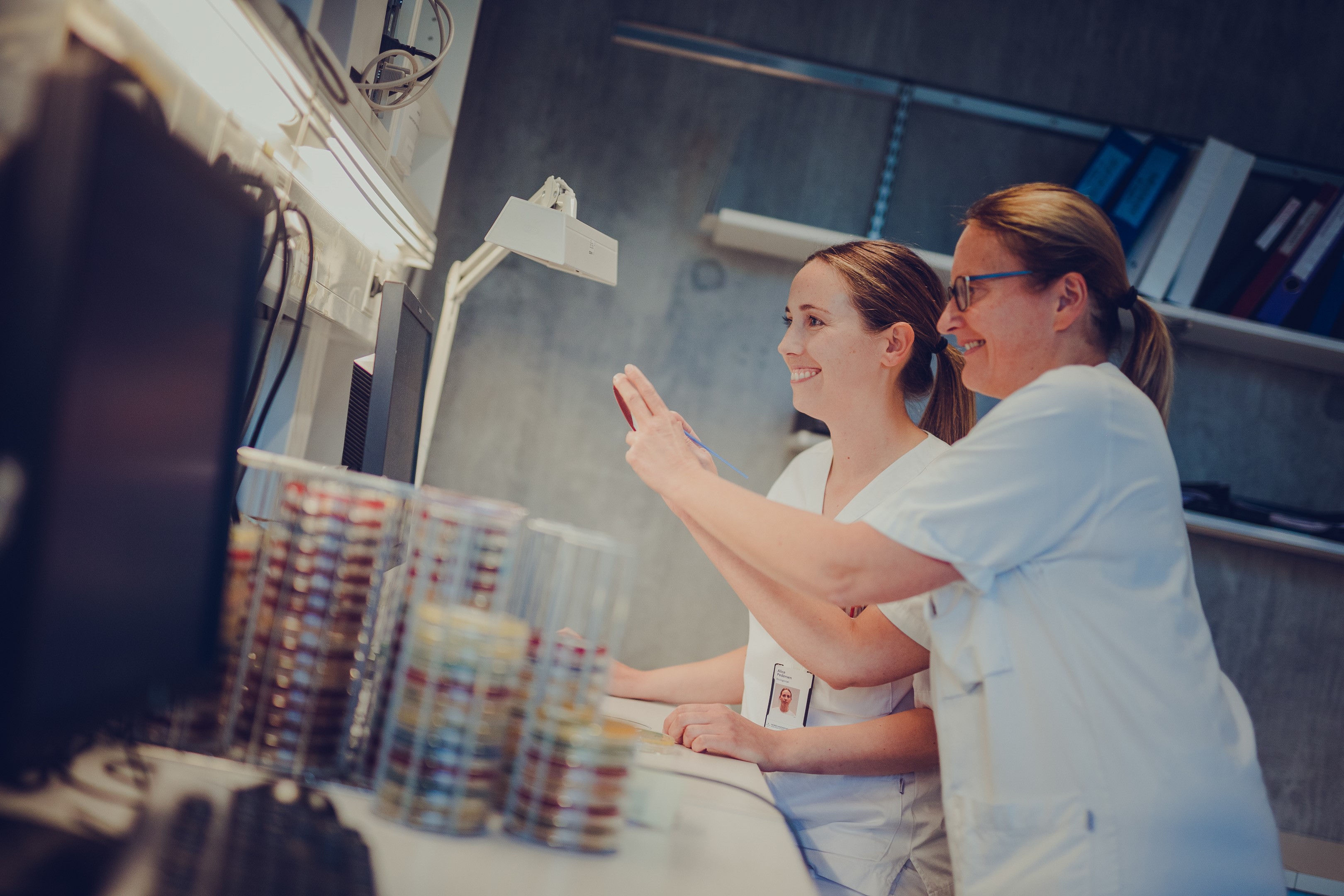 Alice Lillegaard Pettersen