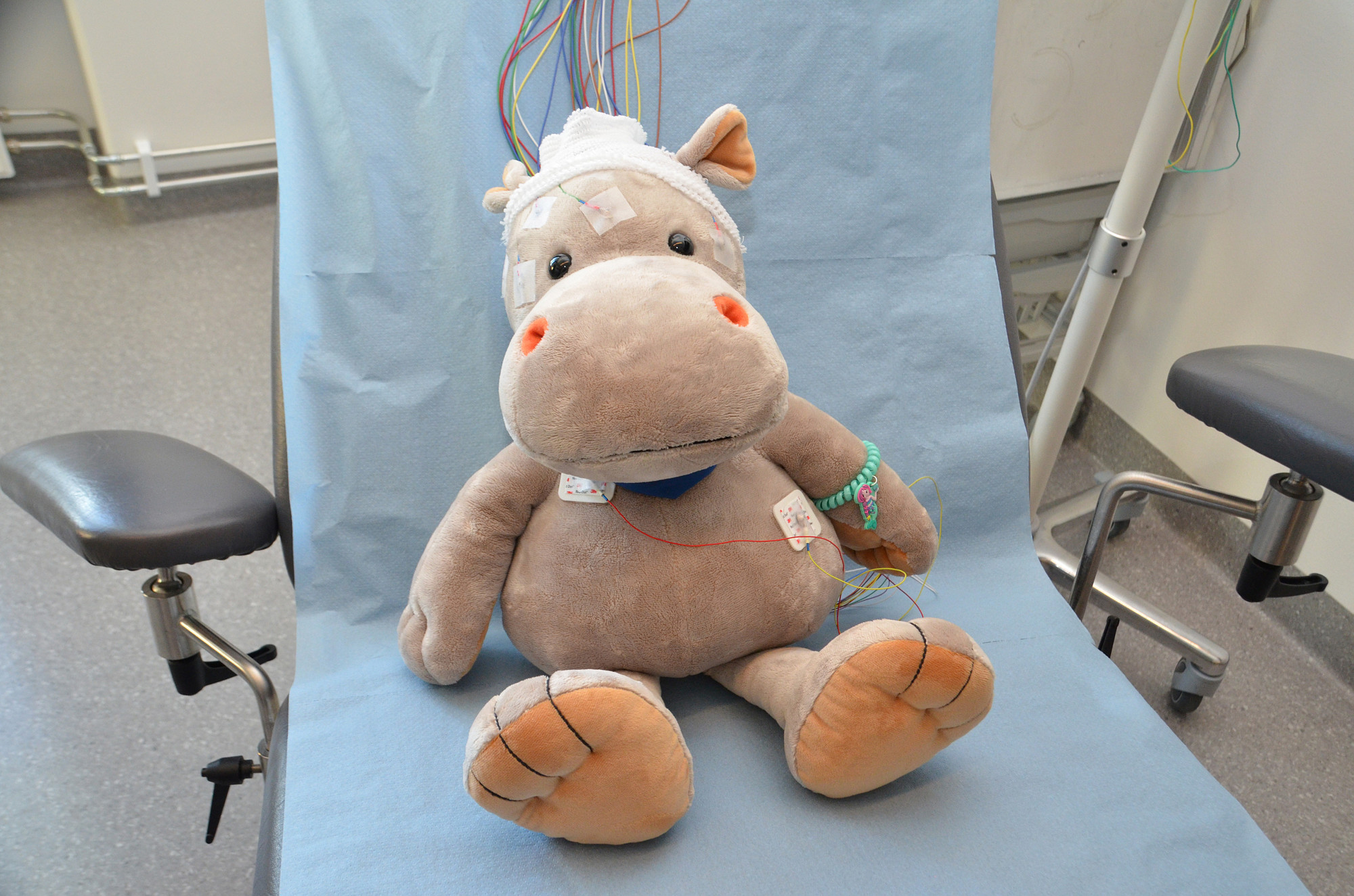 Flodhestbamse med EKG-ledninger