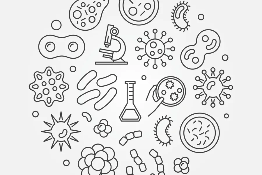 Illustrasjoner av bakterier og virus