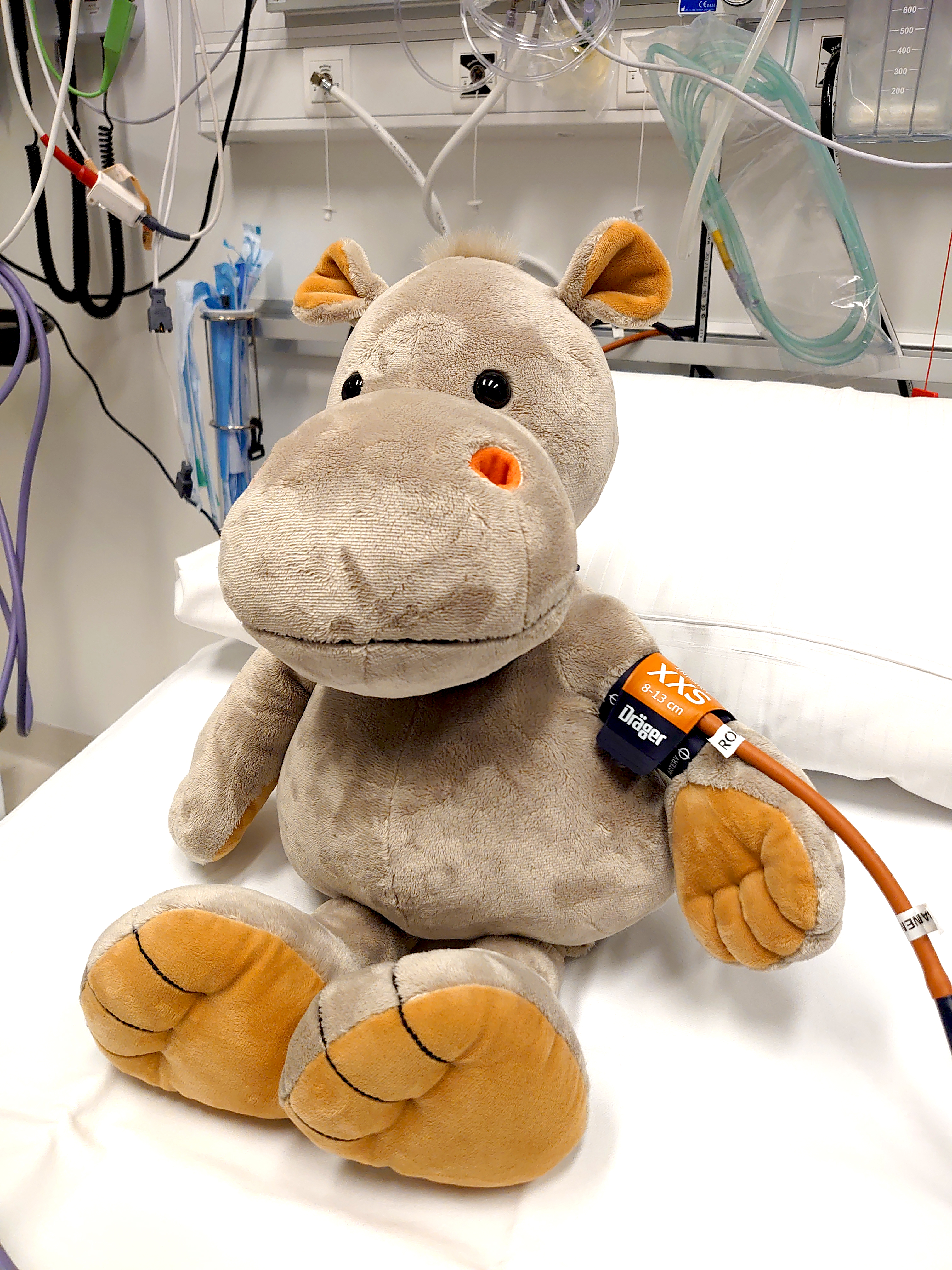 Bamse med blodtrykksmåler