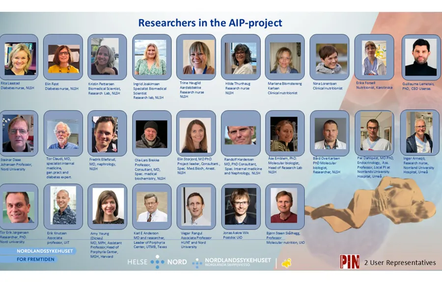 Grafisk brukergrensesnitt, applikasjon