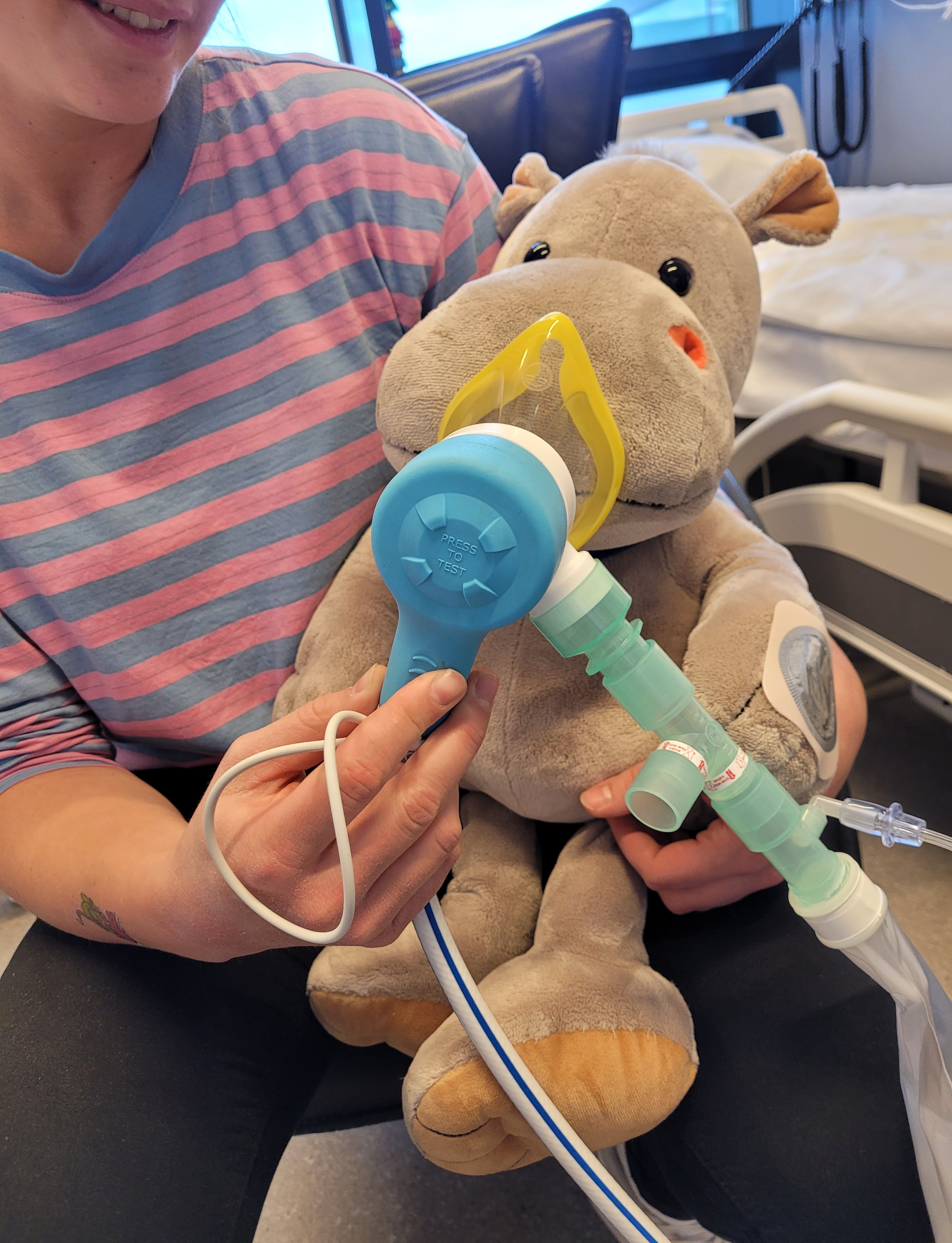 En person som holder et kosedyr