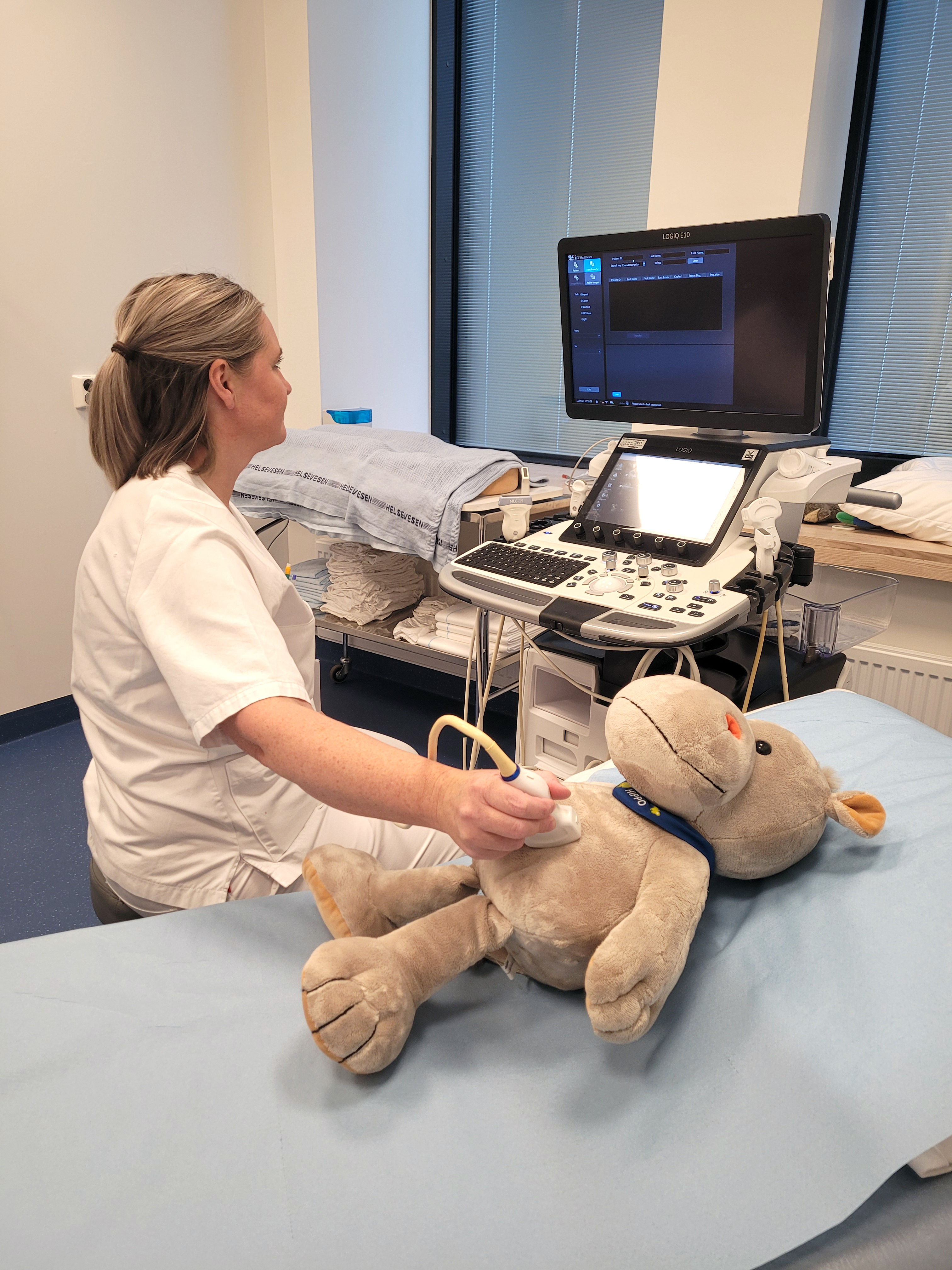 Dame som tar ultralyd på bamse